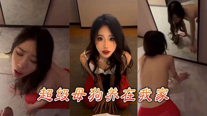 超级母狗养在我家