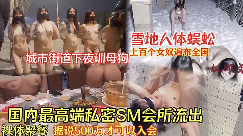 国内最高端私密sm会所流出就可以入会雪地人体蜈蚣的封面图
